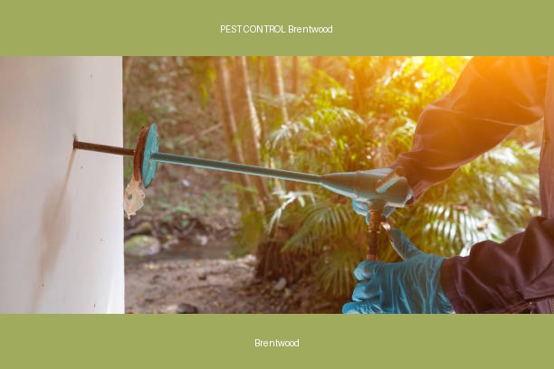 PEST CONTROL Brentwood